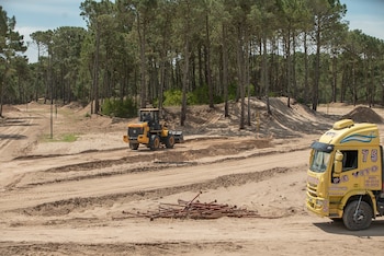 El proyecto Bosques, uno de
