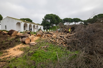 El Ayuntamiento de Moguer ha