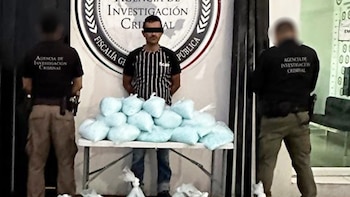 Alfonso Guadalupe Batiz Hernández fue