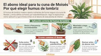 Infografía con ilustraciones de una cuna de Moisés, una pala con abono, una regadera, restos orgánicos tachados y una hoja seca.