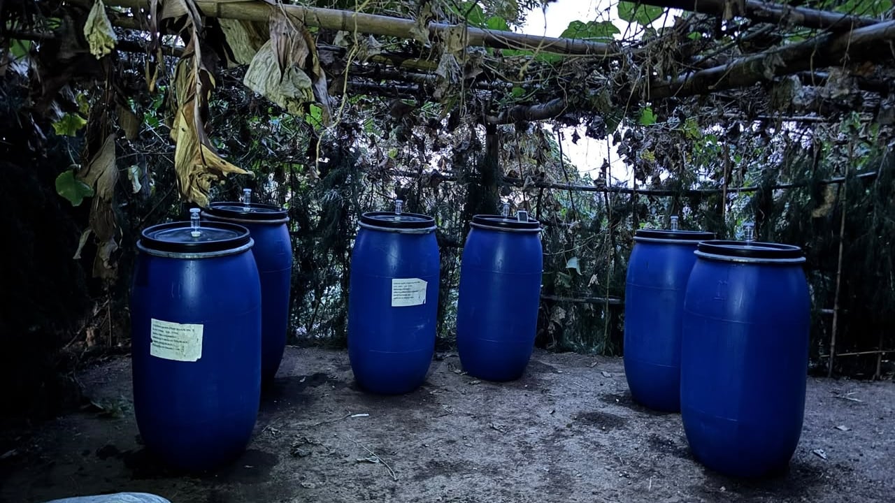 (Foto cortesía Ritual Púrpura)