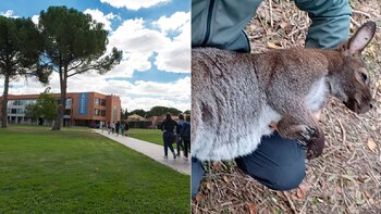 El campus de la Universidad