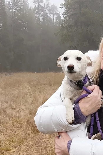 Una persona con abrigo blanco sostiene en brazos a una perra blanca pequeña con correa morada frente a un campo seco y un bosque con niebla