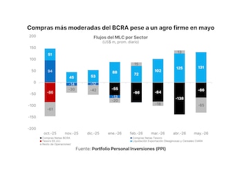 Compras más moderadas del BCRA