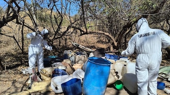 Golpe al narco en Sinaloa: Marina desmantela laboratorio clandestino en territorio de Los Chapitos