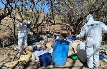 Elementos navales destruyeron un laboratorio clandestino en la sierra de Sinaloa. (Cortesía)
