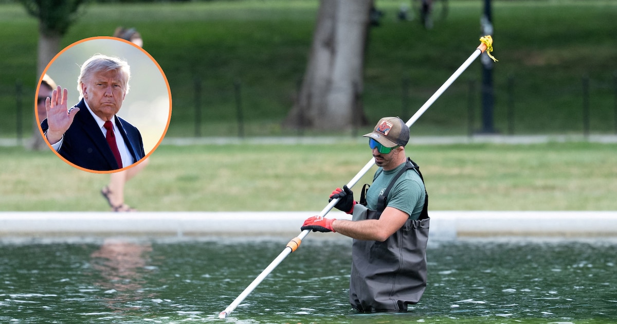 Donald Trump denuncia daños por vandalismo en el Reflecting Pool: anuncia arrestos y ordena restauración