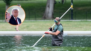 Donald Trump denuncia daños por vandalismo en el Reflecting Pool: anuncia arrestos y ordena restauración