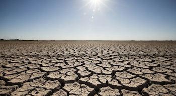 Un vasto campo agrícola con tierra completamente seca y agrietada se extiende bajo un cielo azul claro y un sol brillante.