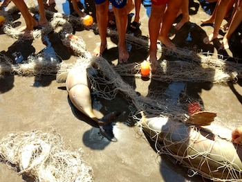 Fragmentos plásticos, colillas y envoltorios