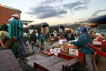 Productos como aceites, azúcar y