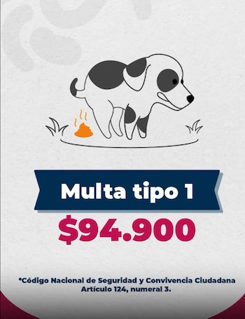 Esta es la cifra que