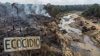 Ecocidio y daños ambientales debería ser castigado penalmente a nivel global, considera especialista de la UNAM