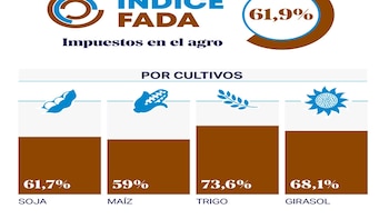 Por cada $100 de renta agrícola, el Estado se queda con $62