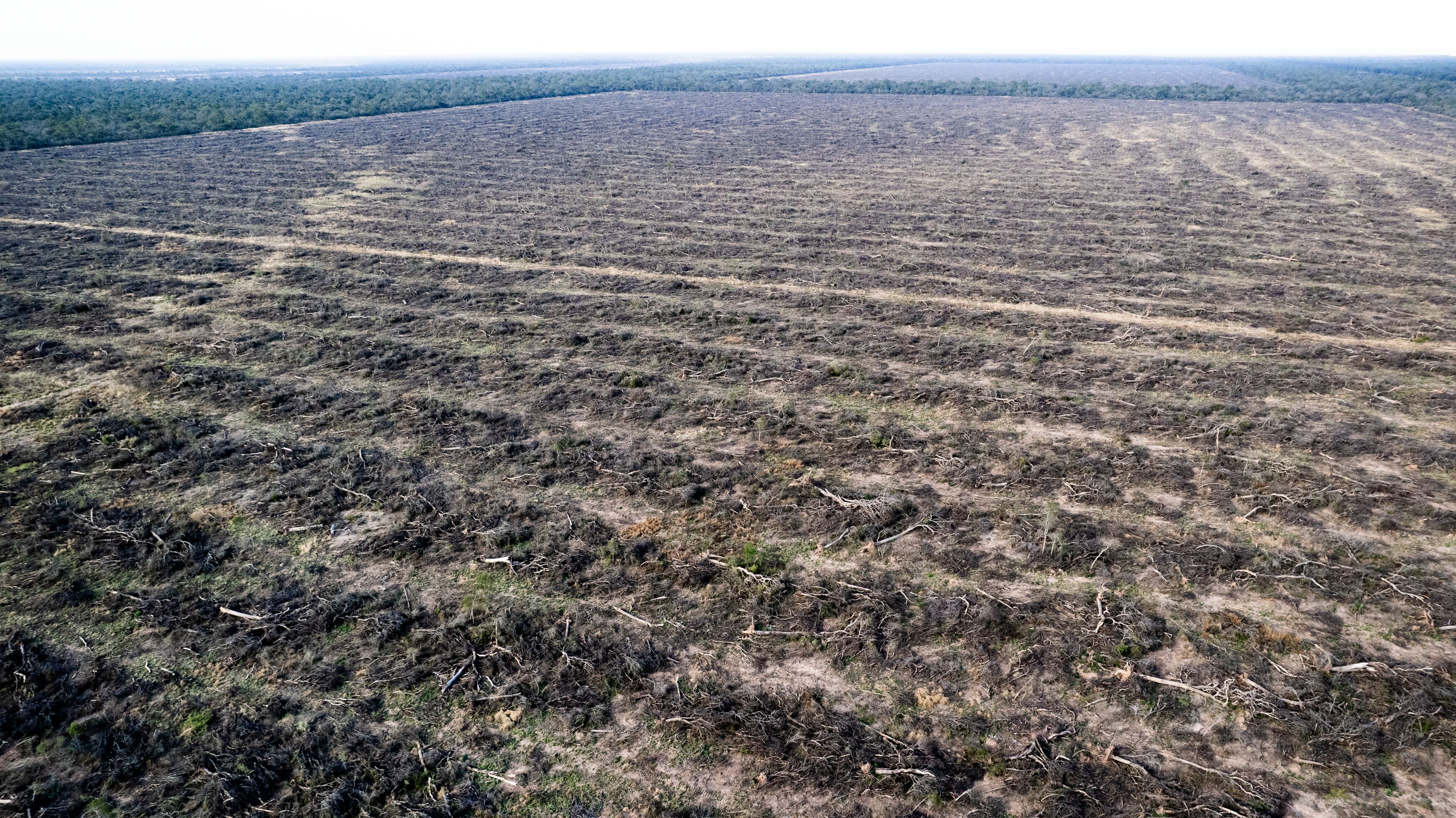 Funcionarios y empresarios chaqueños son investigados por destrucción de bosque nativo y daño ecológico regional