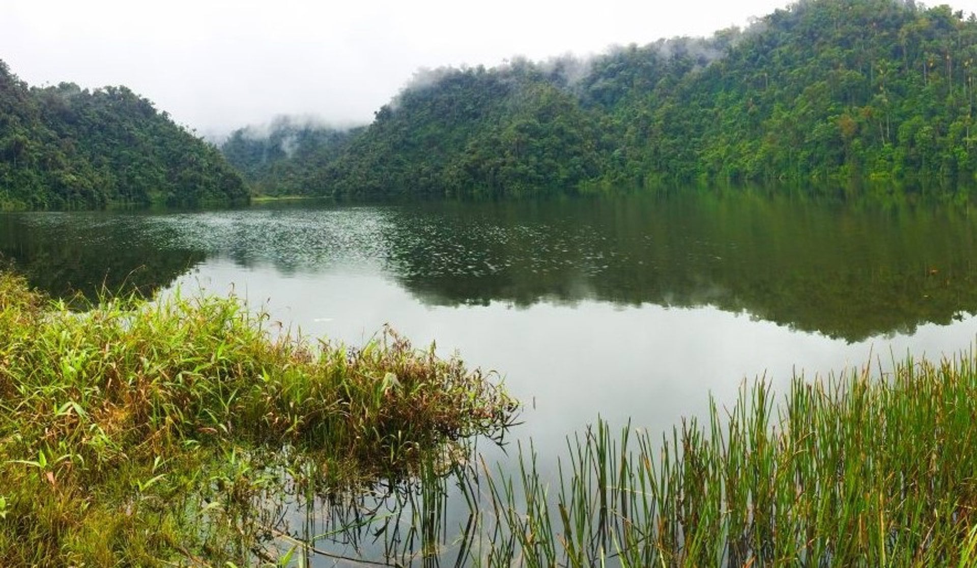 Una ciudad perdida transformó los paisajes en la Amazonia de Ecuador (Europa Press)