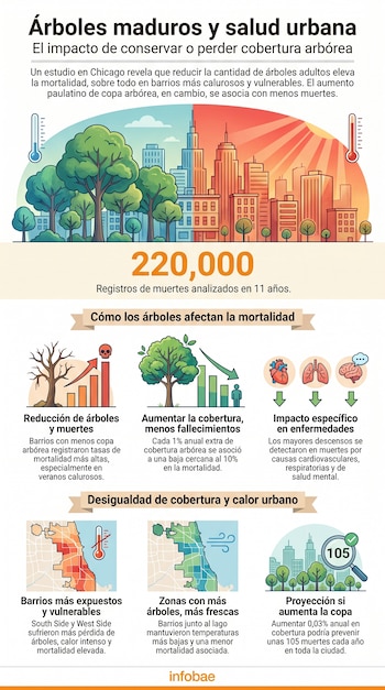 Infografía sobre árboles maduros y salud urbana. Muestra una ciudad con árboles y edificios, termómetros, números, gráficos de barras e iconos de órganos y mapas.