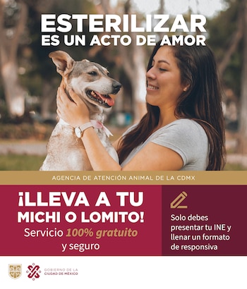 Anuncian esterilizaciones para mascotas de