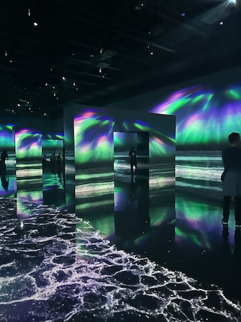 Instalación inmersiva en Arte Museum,
