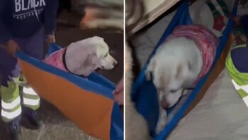 El momento del rescate de