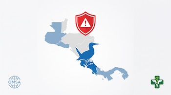 Mapa simplificado de Centroamérica, silueta de piquero patiazul, escudo rojo de bioseguridad, logo OMSA, logo Senasa Costa Rica.