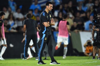 Lionel Scaloni mira el encuentro