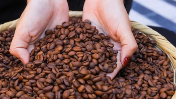 Las exportaciones de café salvadoreño crecen casi un 30 % en volumen y más del 70 % en valor durante el ciclo 2025/26