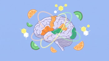 Un nuevo estudio Relaciona mayor vitamina C con mejor salud cerebral en adultos mayores