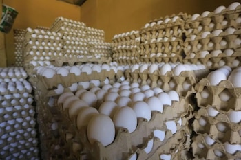 El cartón de 30 huevos aumentó seis lempiras en la Feria del Agricultor. (FOTO: Diario Paradigma)