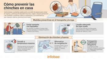 Infografía muestra hombre desempacando maleta, chinches, lupa, persona en transporte público, lavadora, secadora, congelador, y fumigador.