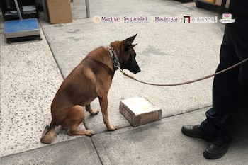 AICM metanfetamina cargadores videojuego