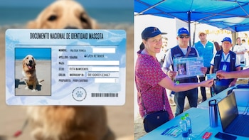 ‘DNI’ para mascotas en Miraflores: