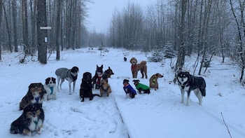 Todo inició con un pequeño