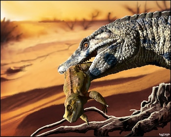 Descubren en río negro un nuevo cocodrilo carnívoro terrestre que convivió con los dinosaurios