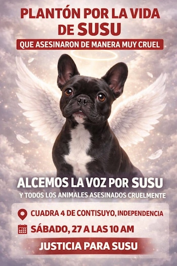 Plantón por la vida de