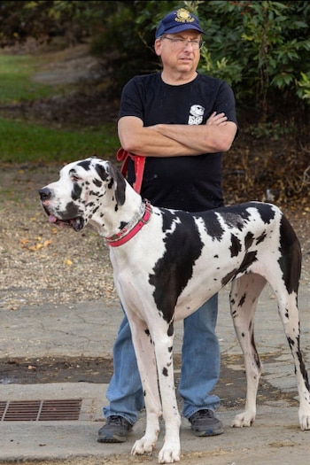 El procedimiento para medir a