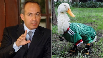 Felipe Calderón exige a FIFA regalías para la familia del pato Merlín, el ícono viral del Mundial 2026