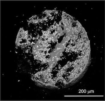 La muestra de hiroshimaíta estudiada se formó cuando la explosión nuclear del 6 de agosto de 1945 vaporizó edificios, metal, suelo, vidrio y agua en Hiroshima (Science Advances)
