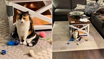 La rutina de Gnocchi incluye