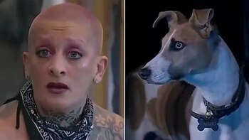 Furia volvió a enojarse con