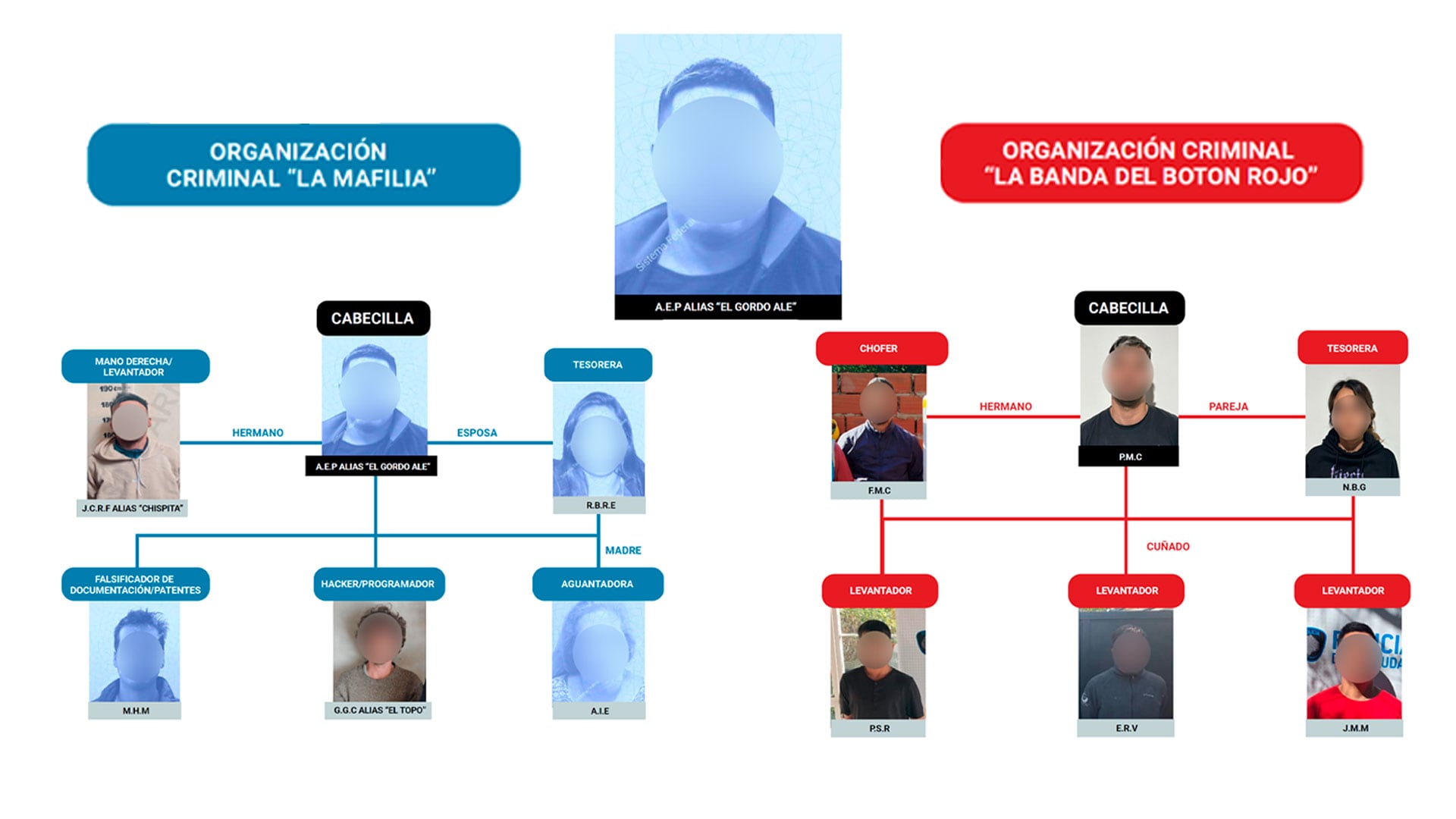 La organización completa