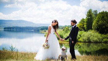 La AKC recomendó anteponer el