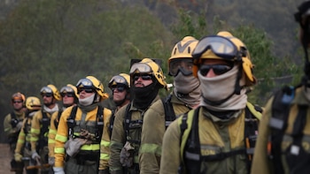 Los temas que Felipe VI