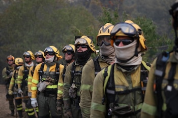 Varios bomberos forestales tratan de