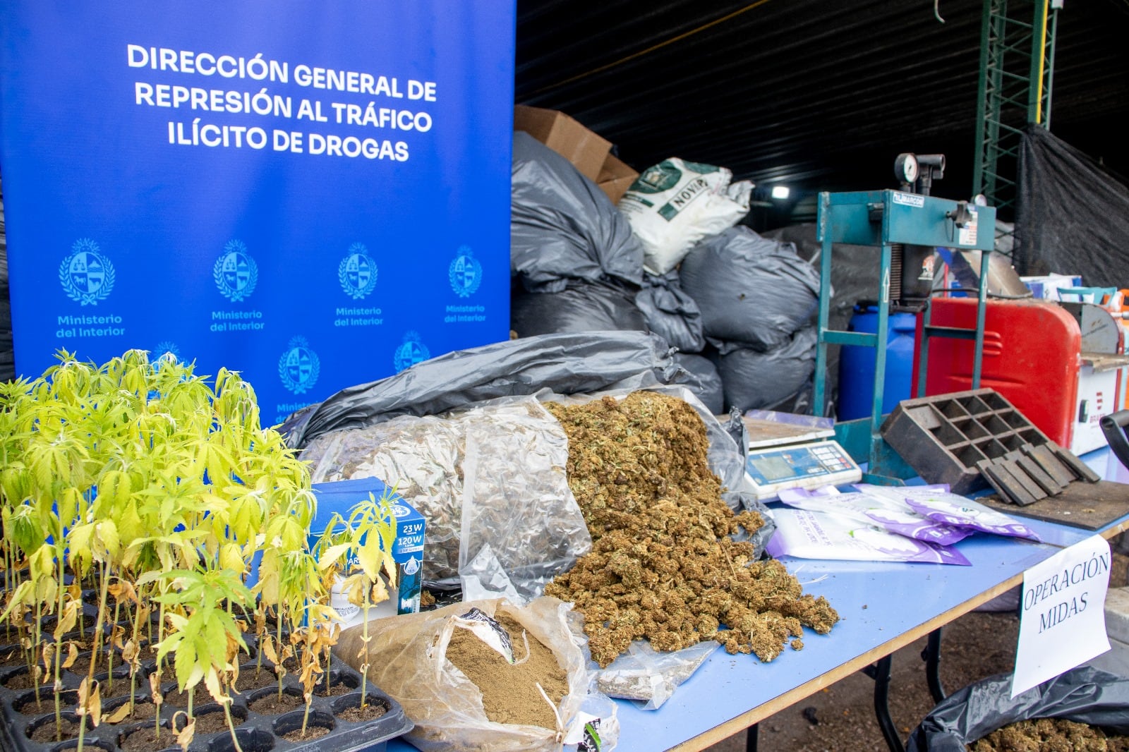 Incautan 4.400 kilos de marihuana y 47 kilos de hachís en Uruguay (Ministerio del Interior)