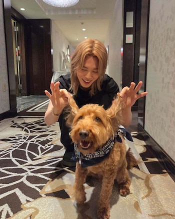 El perro Stoney Blue tiene certificación oficial de apoyo emocional y puede circular por áreas restringidas de los estadios del Arirang World Tour - (Instagram: Stoney Blue // BTS)