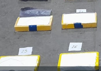 La marca del delfín, garantía