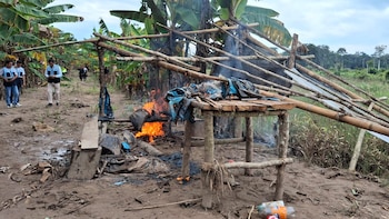 Tala ilegal: destruyen campamento rústico