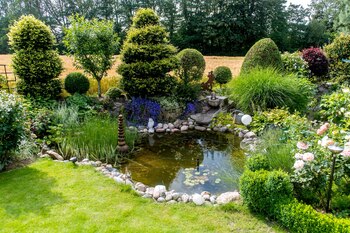 ARCHIVO - Alrededor del estanque