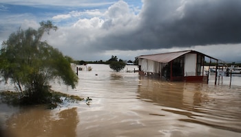 Los eventos rápidos del MJO